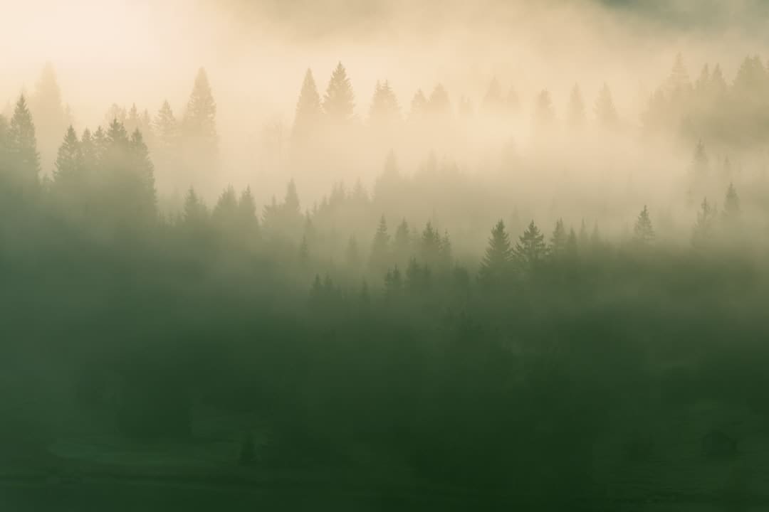 云南绿春：春日梯田好风景